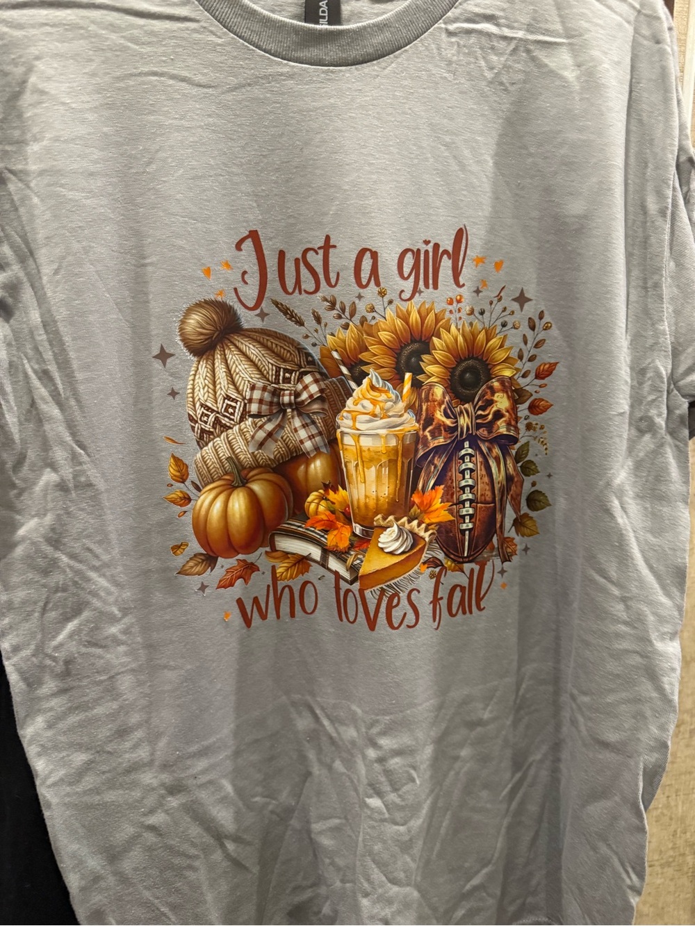Just a Girl Who Loves Fall Graphic Tee - Light Gray